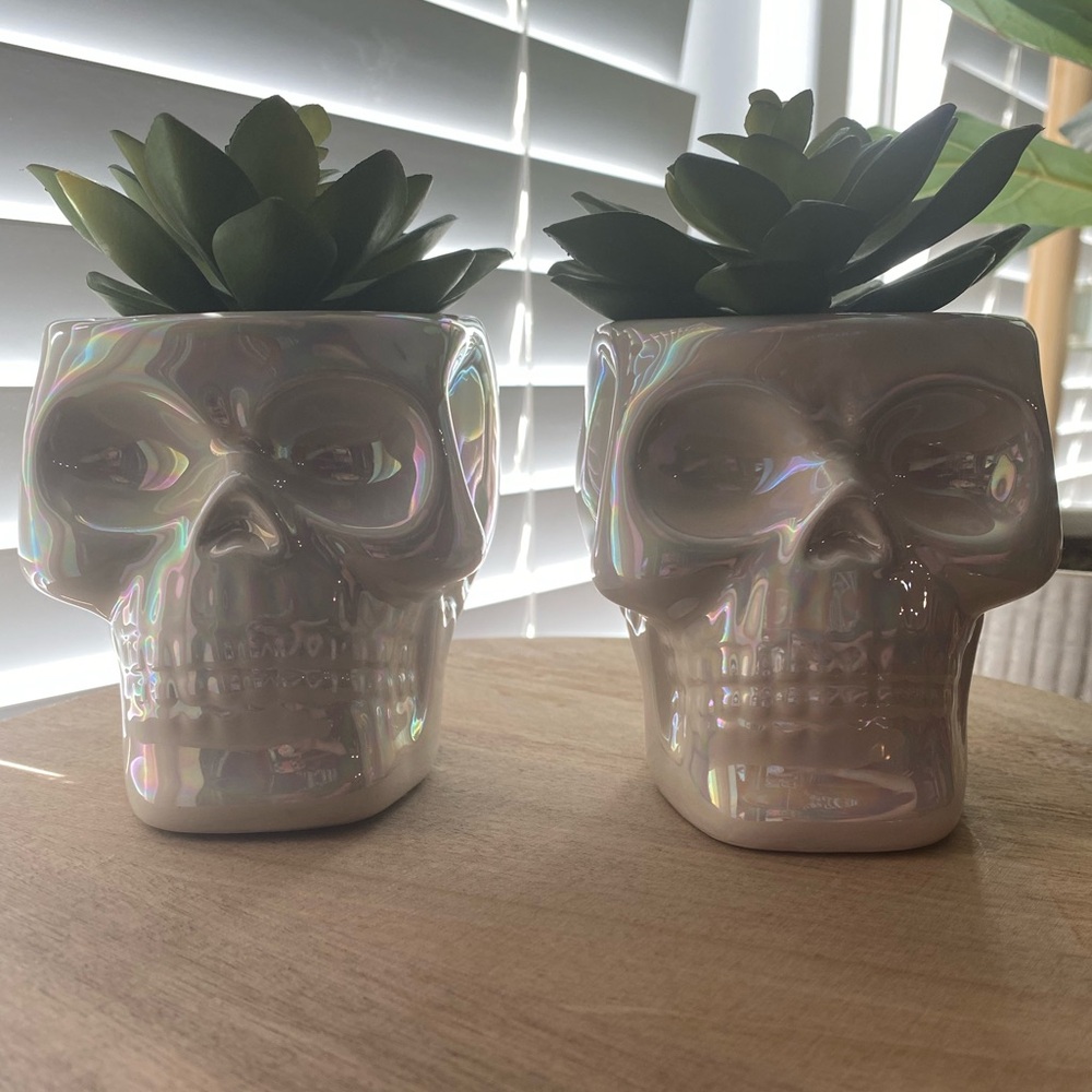 Iridescent Skull Planters with Faux Succulents Halloween Decor - Picture 2 of 8